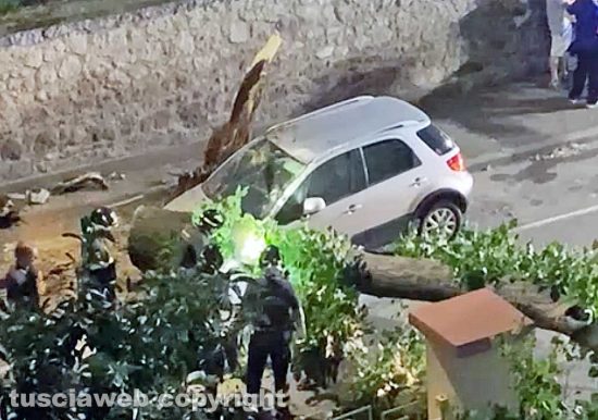 Viterbo – Albero crolla a viale 4 Novembre e distrugge un’auto