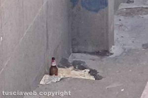 Viterbo - Quartiere San Faustino - Vomito ed escrementi sulle scale di via Santa Maria Elisabetta
