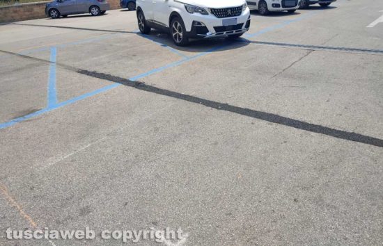 Civitavecchia - Cade dalla carrozzina e muore - Lo scavo