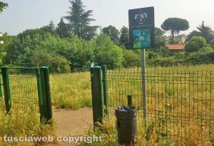 Bagnaia - Erbaccia dietro il comando dei carabinieri
