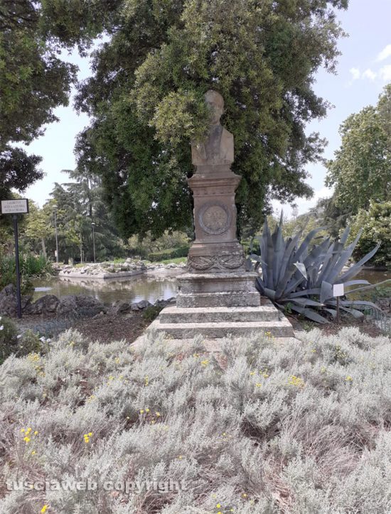 Viterbo - Busto di Giuseppe Verdi coperto da un albero a Pratogiardino Lucio Battisti