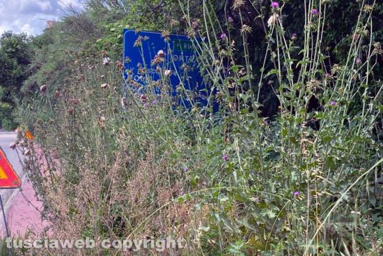 Viterbo - Strada Bagni - il cartello dopo la cura Frontini
