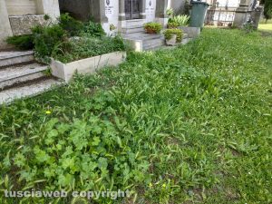 Viterbo - Erbacce e degrado al cimitero San Lazzaro