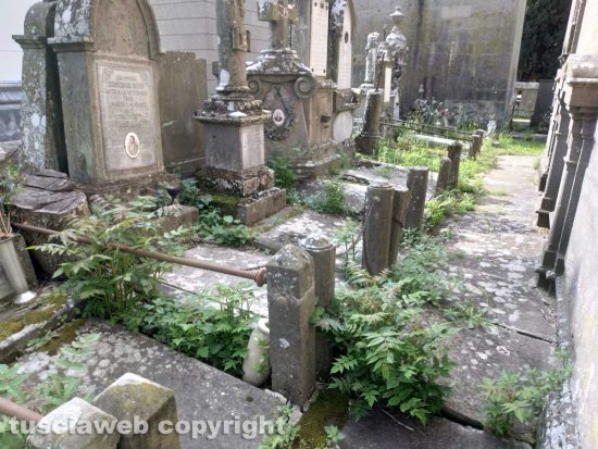 Viterbo - Erbacce e degrado al cimitero San Lazzaro