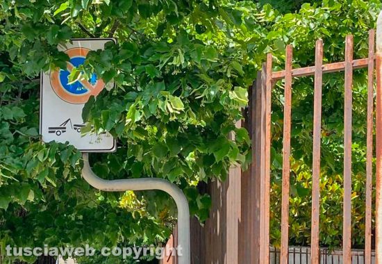Viterbo - Quartiere Carmine - Il nuovo gioco dell'era Frontini: indovina che segnale è?
