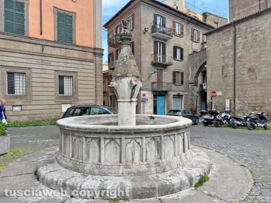 Viterbo - Degrado ed erba alta nel quartiere di via Mazzini - La fontana di pizza Dante
