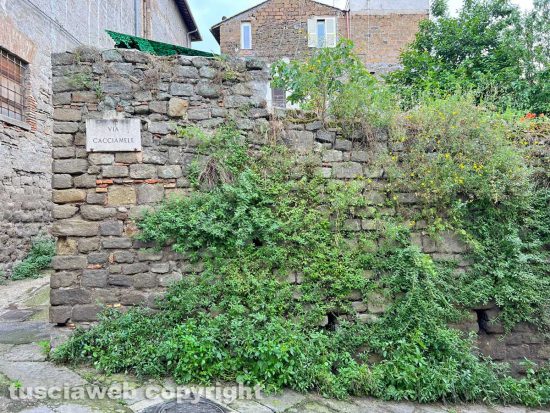 Viterbo - Degrado ed erba alta nel quartiere di via Mazzini - Via Cacciamele