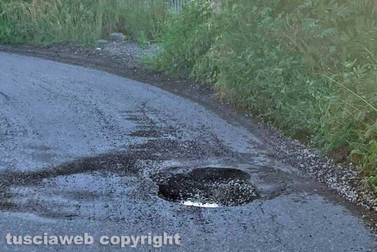 Viterbo - Buche ed erbacce nel quartiere Ellera