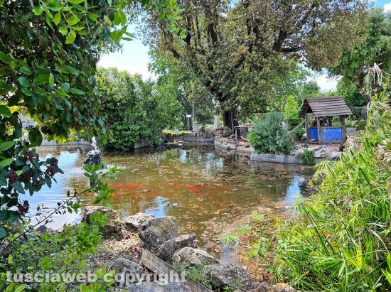 Viterbo - La vasca di prato giardino Lucio Battisti