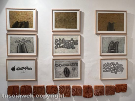 Viterbo - La mostra "Maremma terra nostra"