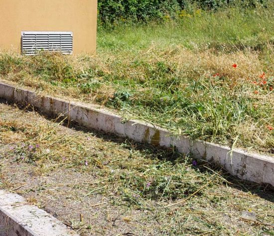Viterbo - Erba alta - Volontari e residenti al lavoro a Colle Verde
