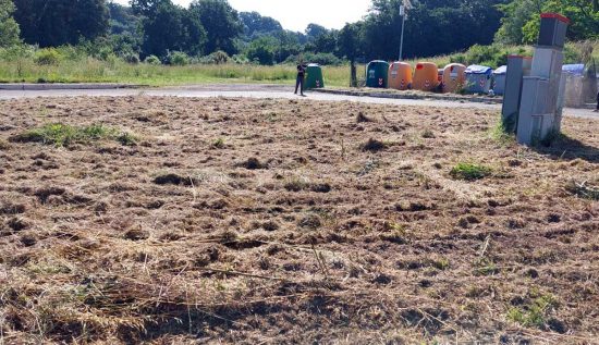 Viterbo - Erba alta - Volontari e residenti al lavoro a Colle Verde