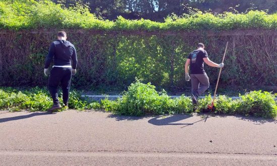 Viterbo - Erba alta - Volontari e residenti al lavoro a Colle Verde