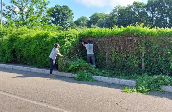 Viterbo - Erba alta - Volontari e residenti al lavoro a Colle Verde