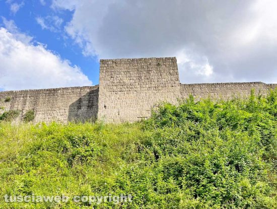 Viterbo - Erba alta attorno alle mura vicino al Pilastro