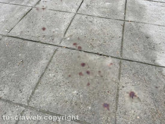 Viterbo - Il sangue in via Molini
