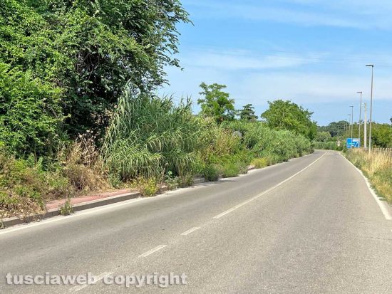 Viterbo - La pista rossa in strada Bagni