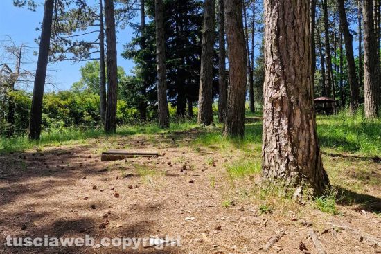 Canepina - Incuria nell'area picnic sulla Cimina