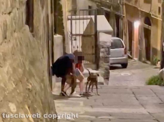 Viterbo - Vicolo Bellavista