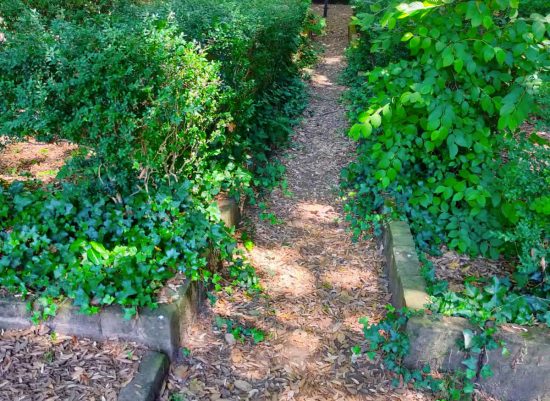 Vignanello - Il giardino comunale nel degrado
