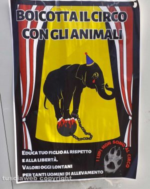 Viterbo - Manifesti contro il circo all'area San Lazzaro
