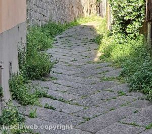 Viterbo - Erbacce nel centro storico