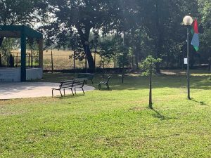 Sipicciano - Il parco Poggio del castagno