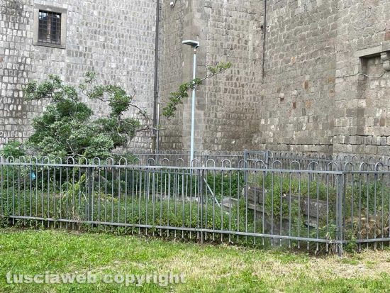 Viterbo - I bagni a piazza della Rocca invasi dalle erbacce, un vero serpaio