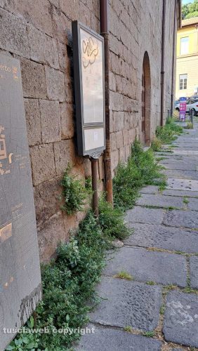 Viterbo - Erbacce nel centro storico