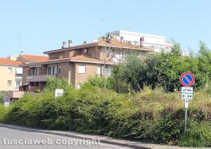 Viterbo - Erba sul marciapiede di Via Monte Sacro