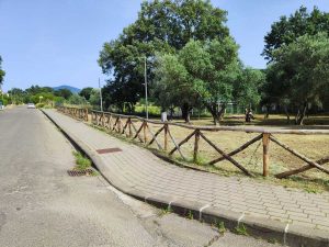 Viterbo - Il parco delle querce