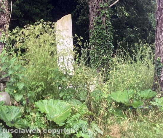 Bassano Romano – Monumento agli avieri trucidati nel ’43 ricoperto da erbacce e rovi
