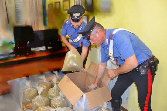 Montalto di Castro - Carabinieri - La polvere di marijuana sequestrata