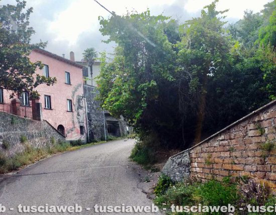 Viterbo - La vegetazione invade la strada per Roccalvecce
