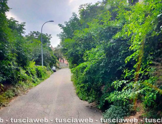 Viterbo - La vegetazione invade la strada per Roccalveccev