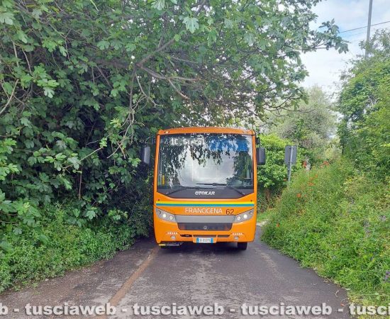 Viterbo - Bus Francigena costretto a passare al centro della strada al Salamaro
