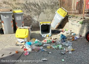 Viterbo - Secchioni ribaltati dai cinghiali a via Vicenza