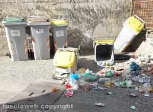 Viterbo - Secchioni ribaltati dai cinghiali a via Vicenza