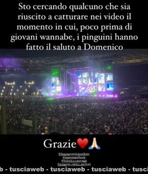L’appello di Daria Falasca sui social