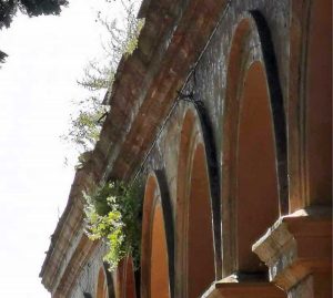 Acquapendente - Mancata manutenzione al cimitero