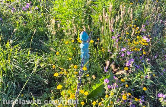 Viterbo - Degrado a Pratogiardino - Paletti con catena di ferro scomparsi sotto l’erba