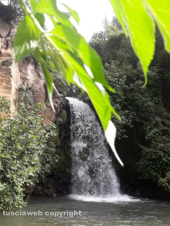 Canino - Cascata Pellico