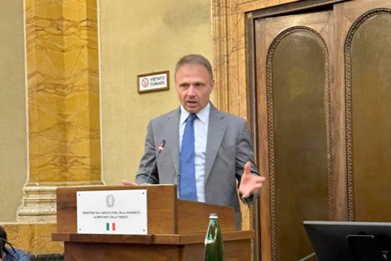 Il ministro Francesco Lollobrigida alla presentazione del cluster nazionale "Italia foresta legno"
