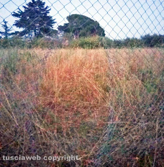 Viterbo - Il buco nella rete dell'allevamento dell'Ovosgabbiato