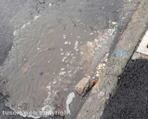Viterbo - Strade allagate e tombini intasati in via Carlo Cattaneo