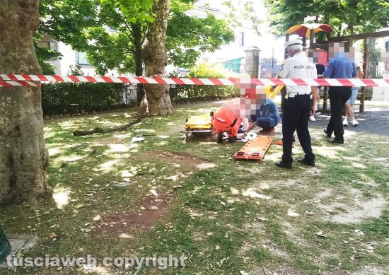 Montefiascone - Ramo cade addosso ad una signora al prato giardino
