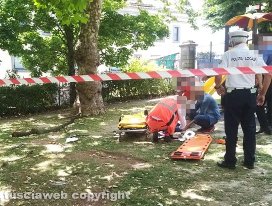Montefiascone - Ramo cade addosso ad una signora al prato giardino
