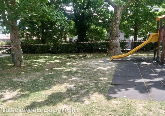 Montefiascone - Ramo cade addosso ad una signora al prato giardino