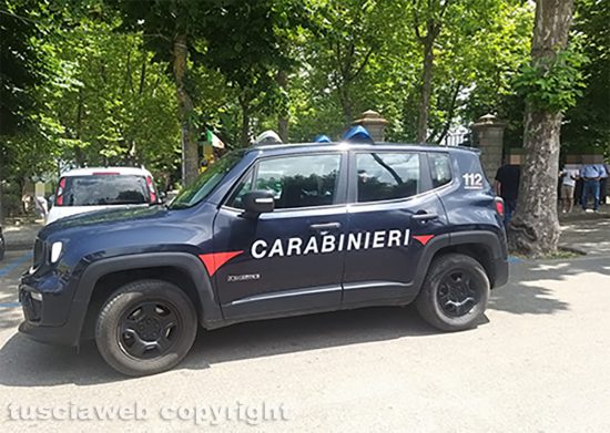 Montefiascone - Ramo cade addosso ad una signora al prato giardino