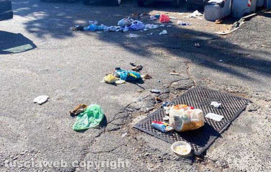 Viterbo - L’immondizia dopo il passaggio dei cinghiali in via Monte Cervino